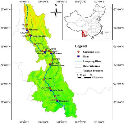 Spatiotemporal patterns and co-occurrence patterns of dissimilatory nitrate reduction to ammonium community in sediments of the Lancang River cascade reservoirs